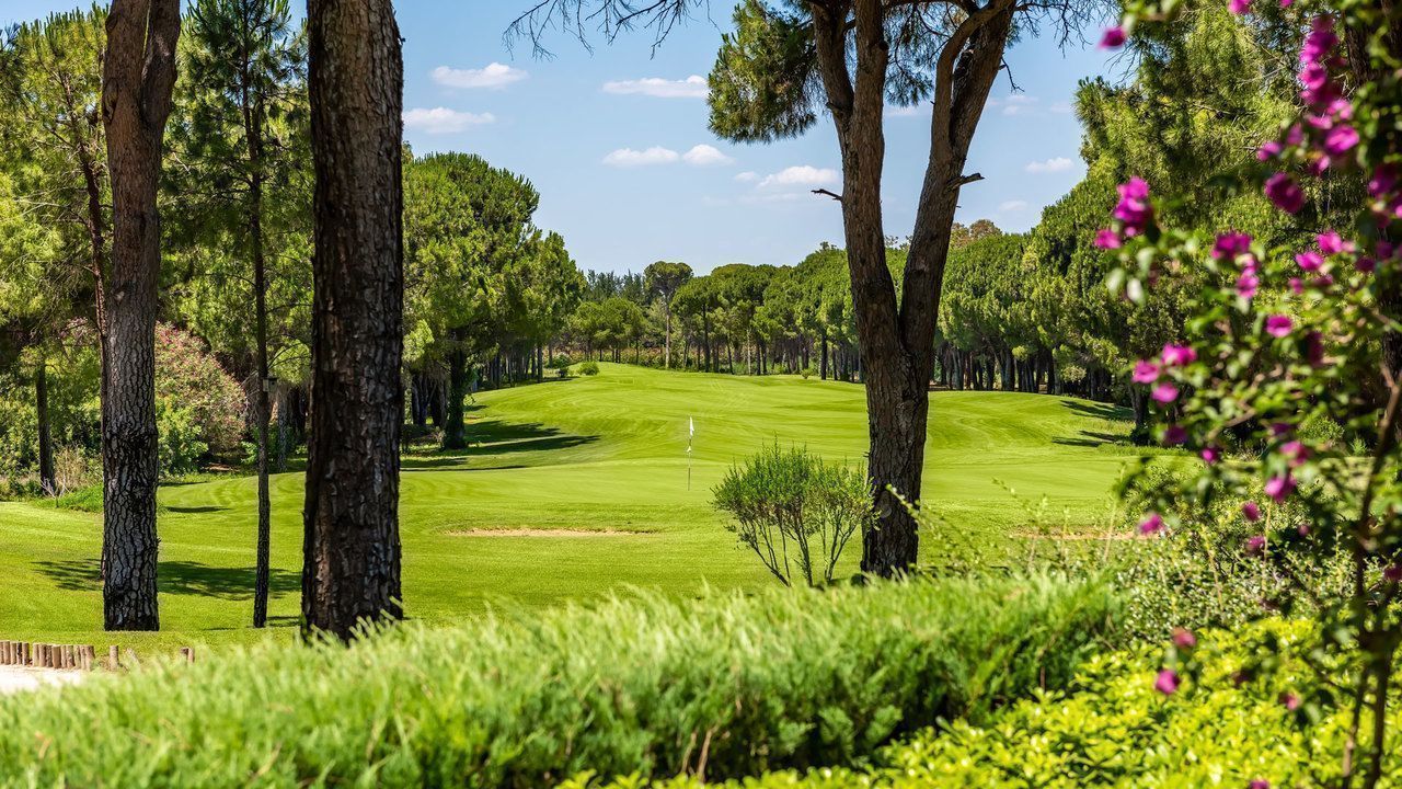 Faldo Course