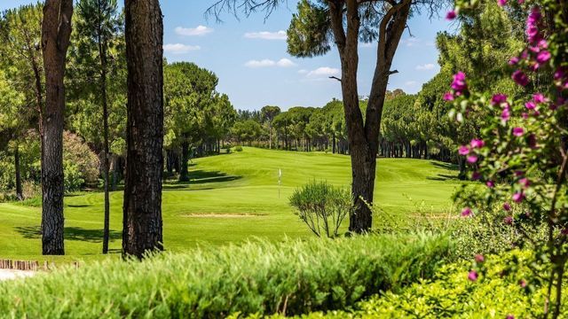 Sir Nick Faldo Golf