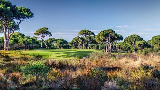 Faldo Course 4
