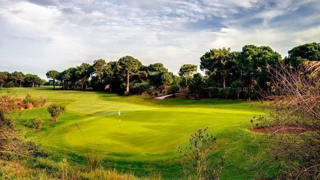 Faldo Course 7